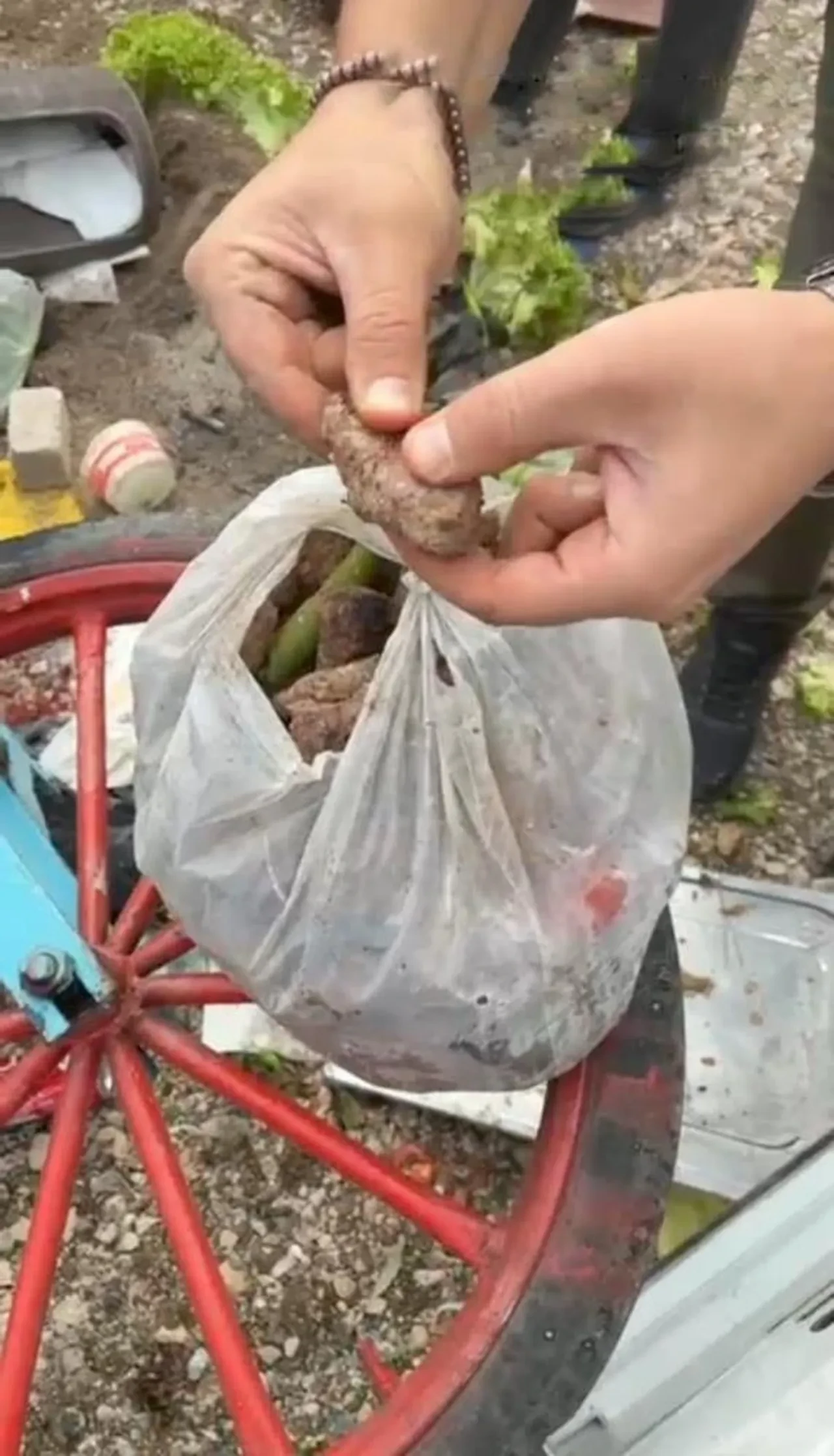 Bursaspor maçı öncesi mide bulandıran görüntüler! Taraftarları zehirleyeceklerdi 