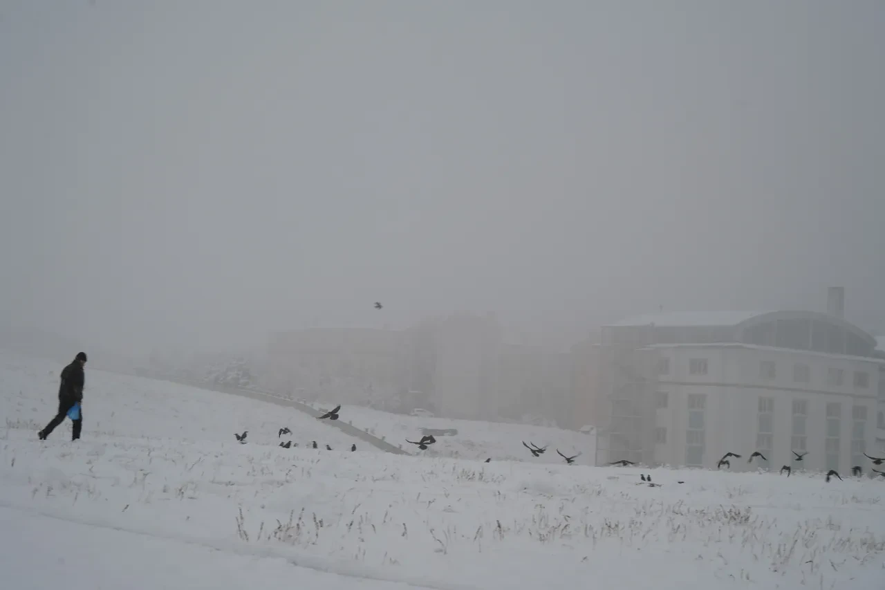 Hangi illerde okullar tatil? Gözler valiliklerden gelecek olan kar tatili açıklamasında