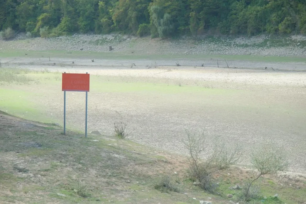 İstanbul barajları alarm veriyor! 2 baraj adeta kurudu 