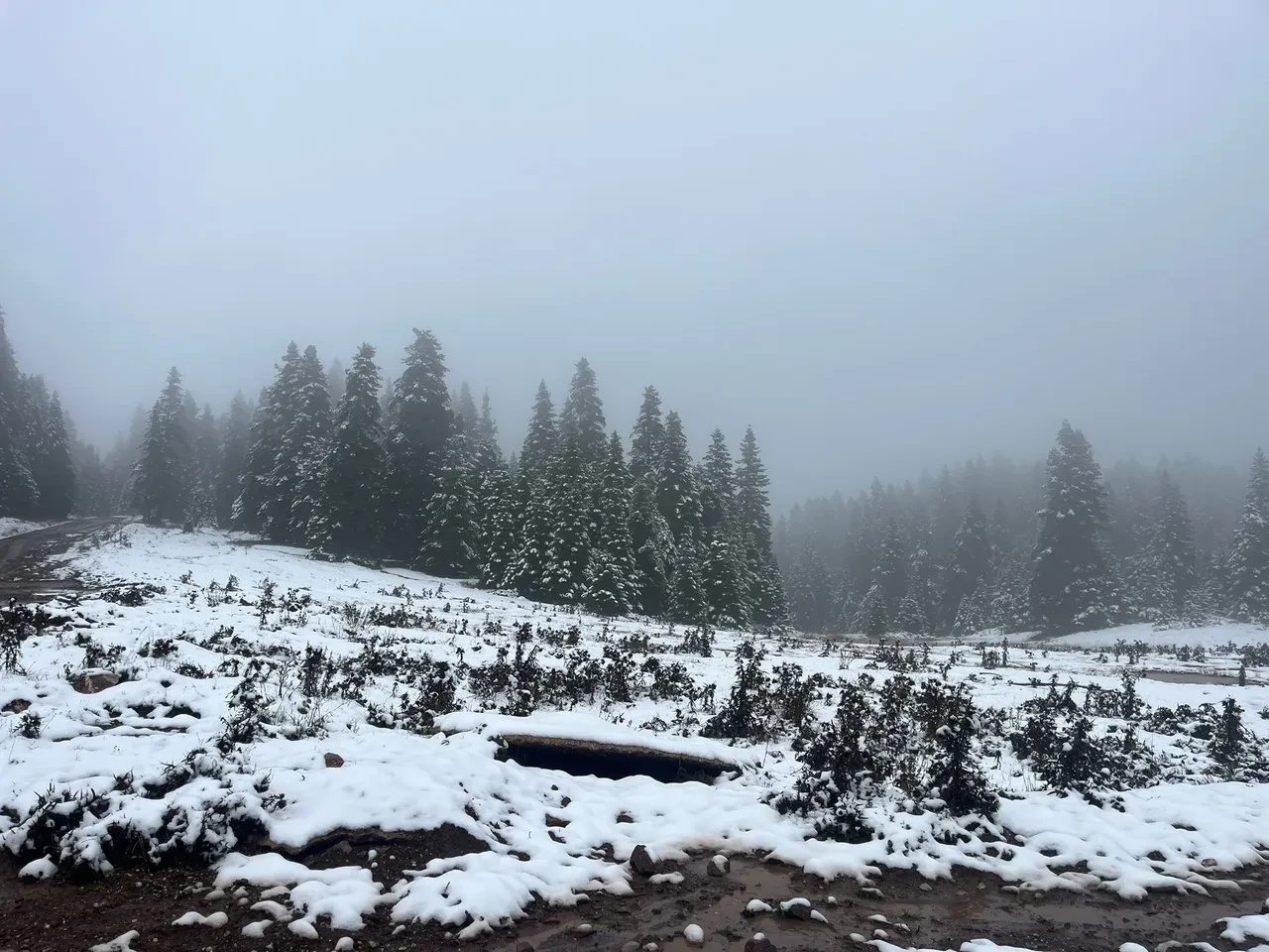 Kar nereye yağdı 13 Ekim 2025? Kar yağışı olan iller