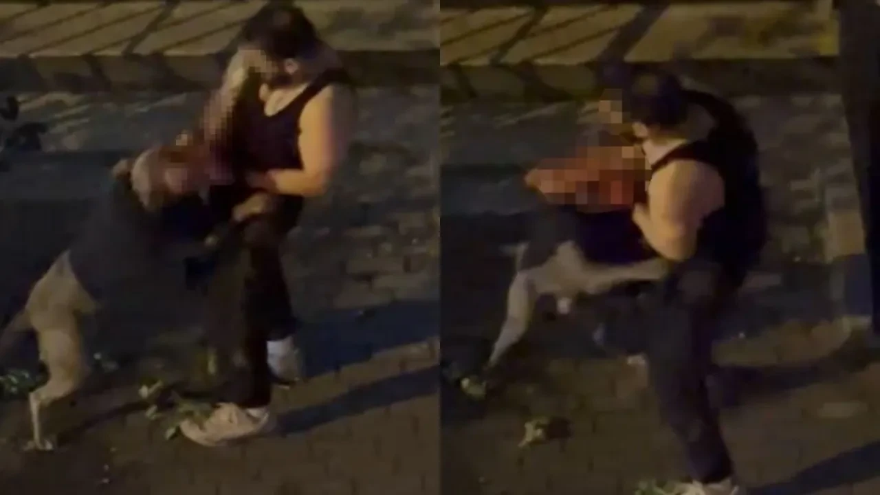 Pitbull dehşeti kamerada! Sahibine saldırdı, kimse bir şey yapamadı 