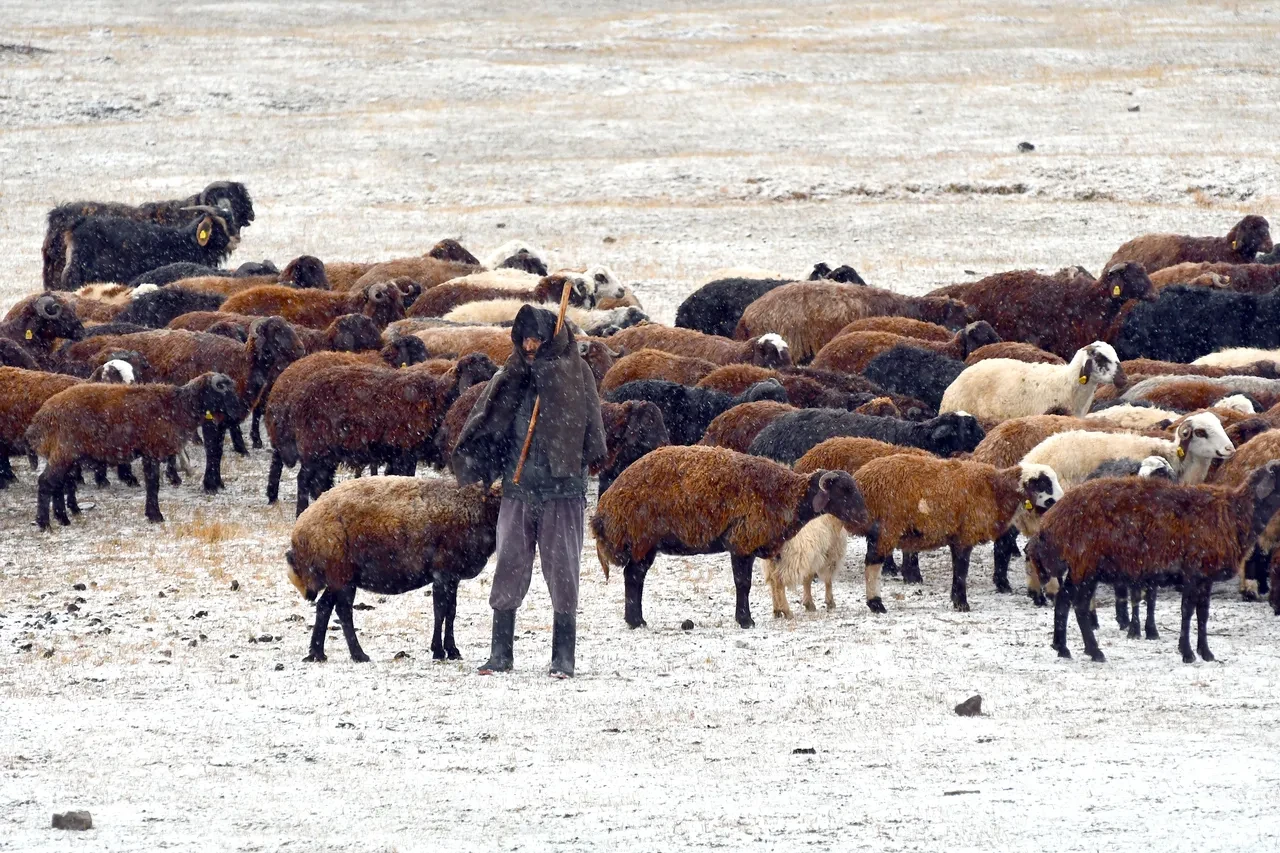 Türkiye'ye kış çok erken geldi! Birçok il güne kar yağışı ile uyandı: İşte o görüntüler 