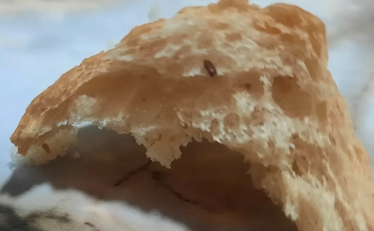 Yeni doğum yapan anneyi sütten kesen ekmek! İçinden çıkan şey mide bulandırdı: 'Artık yemek yiyemiyor' 