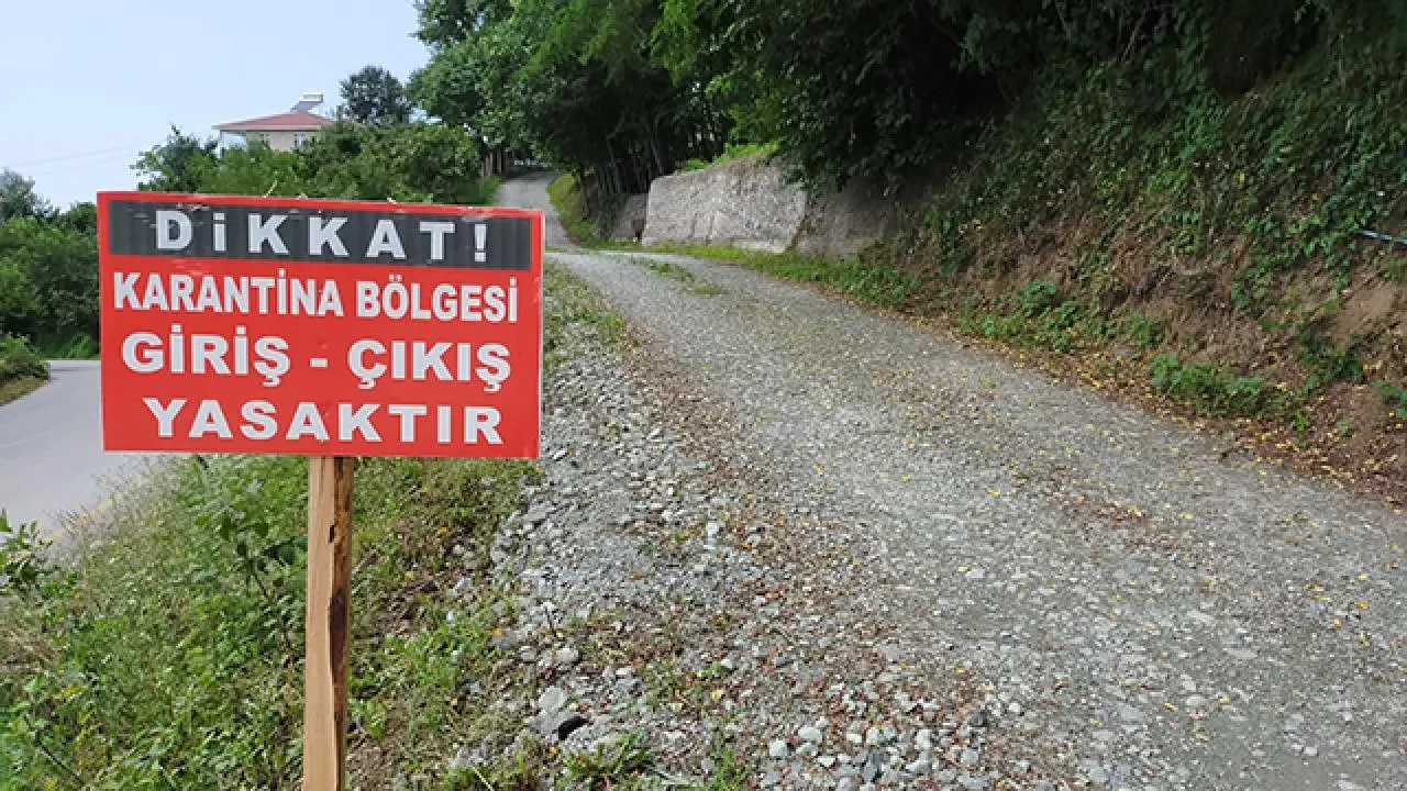 Aydın'da şap paniği! Giriş-çıkışlar yasaklandı 