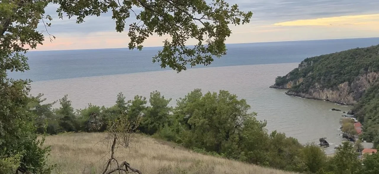 Bartın'da denizin rengi turuncuya döndü! Sahildeki batıkları görenler şaşkına döndü