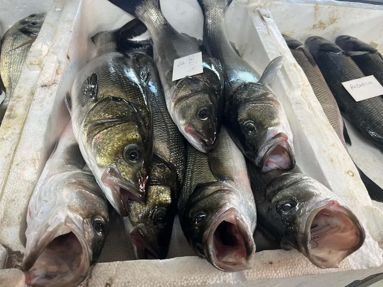 Restoranlardan destek çağrısı: KDV ve maliyet düzenlemesi bekleniyor