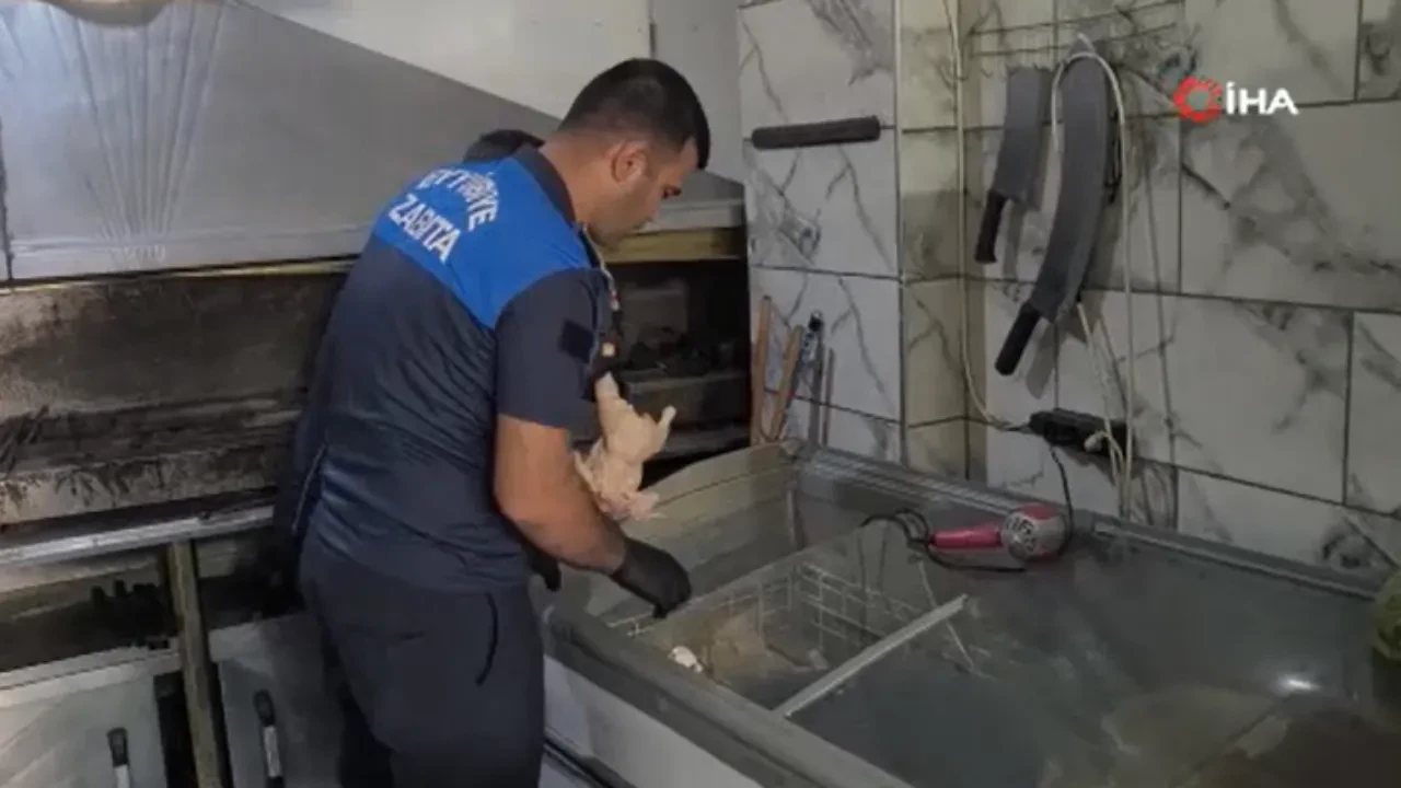 Şanlıurfa'da gıda denetimi! Tarihi geçmiş 183 kilo tavuk eti imha edildi 