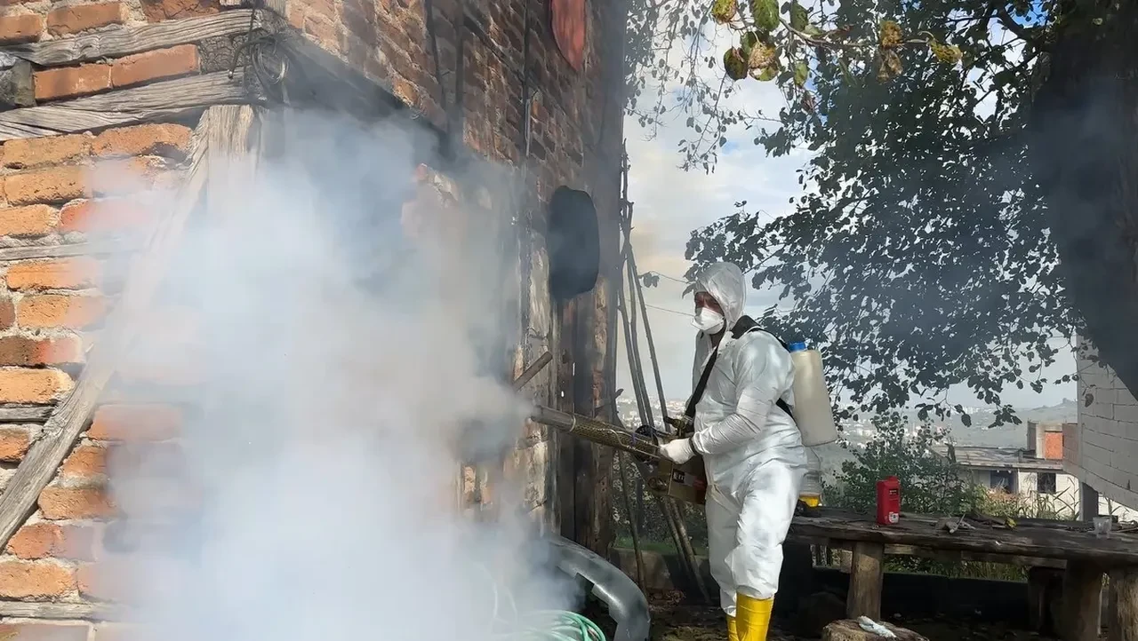 Türkiye'nin çeşitli bölgelerinde ortaya çıkmışlardı! Bakan Yumaklı açıkladı: '1 milyondan fazla...'