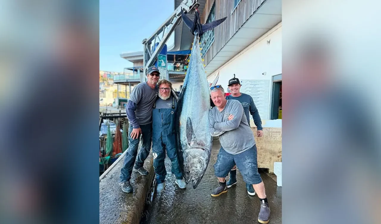 Denizden 1 saatte anca çıkarıldı! Devasa canavar bin kişiyi doyuracak: Değeri ise dudak uçuklattı