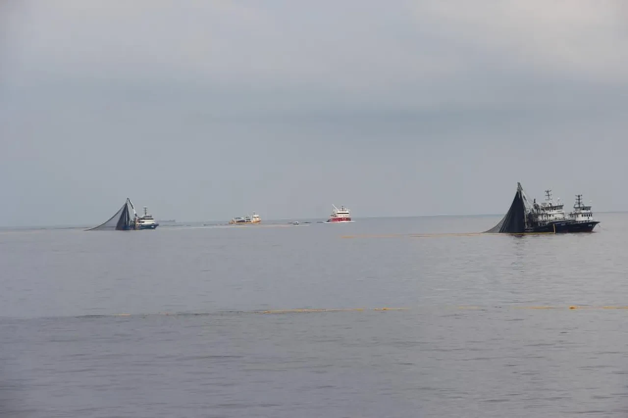 Karadeniz alarm veriyor! Hamside büyük tehlike