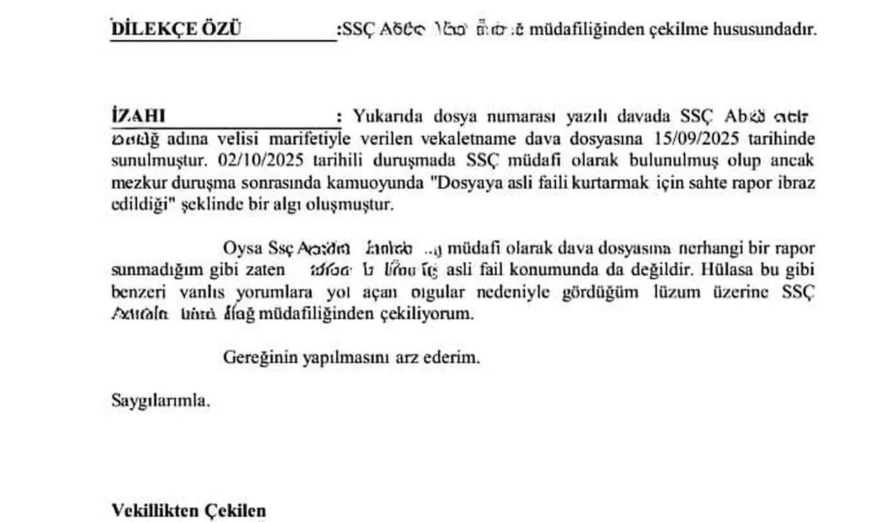Mattia Ahmet Minguzzi'yi katleden caninin avukatı davadan çekildi! Dikkat çeken dilekçe