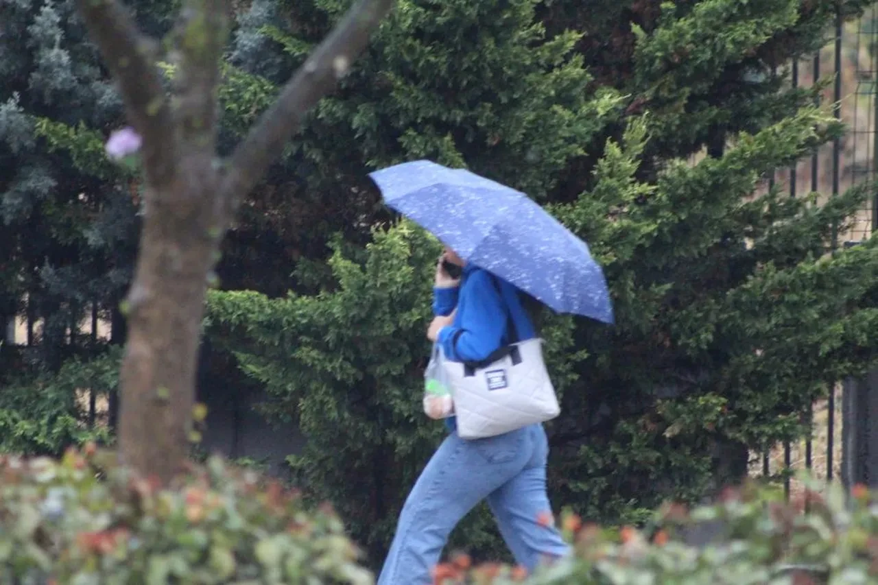 Meteoroloji 9 ili uyardı: Kuzeyde sağanak bastıracak