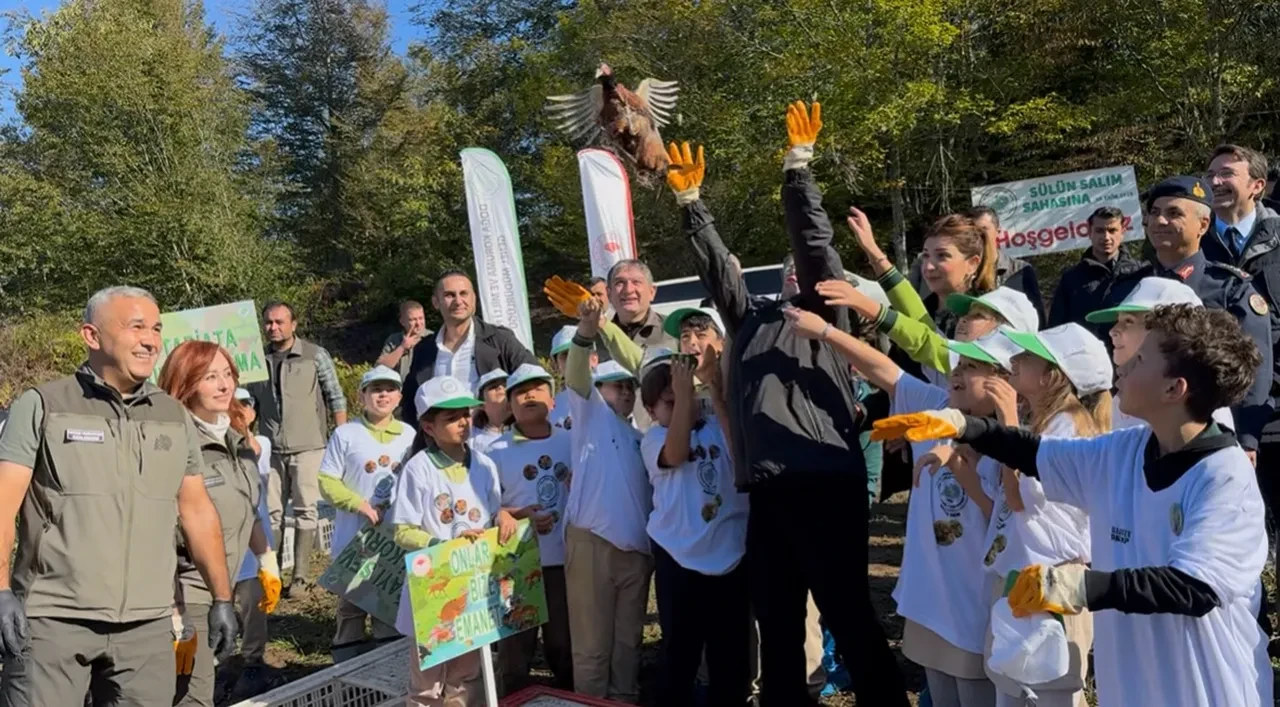 Bartın'da kokarca istilası: 250 sülün doğaya salındı!