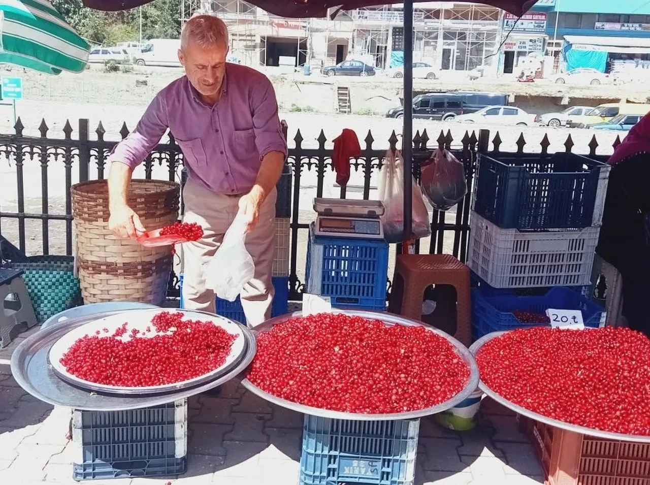 Faydaları saymakla bitmiyor! Tezgahlarda yerini aldı: Kilosu 50 TL