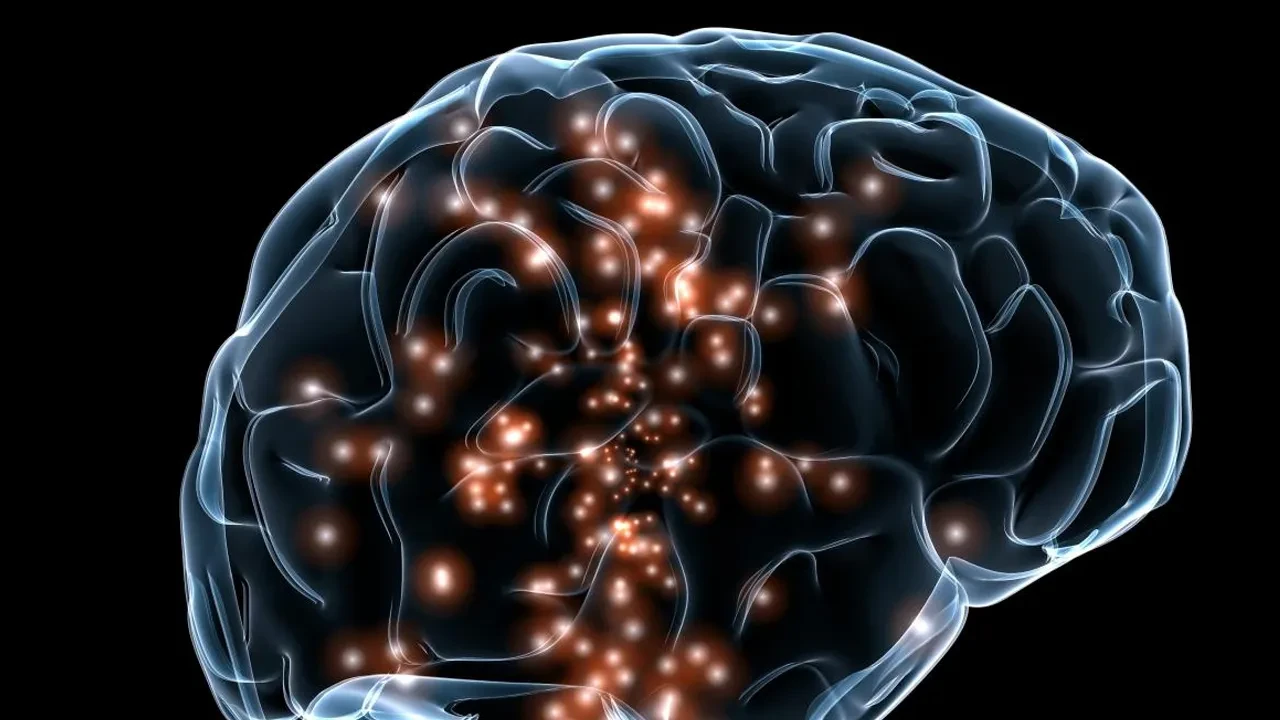 İnsan beyninin zirveye ulaştığı yaş belli oldu! Bir düşüş değil, yükseliş dönemi