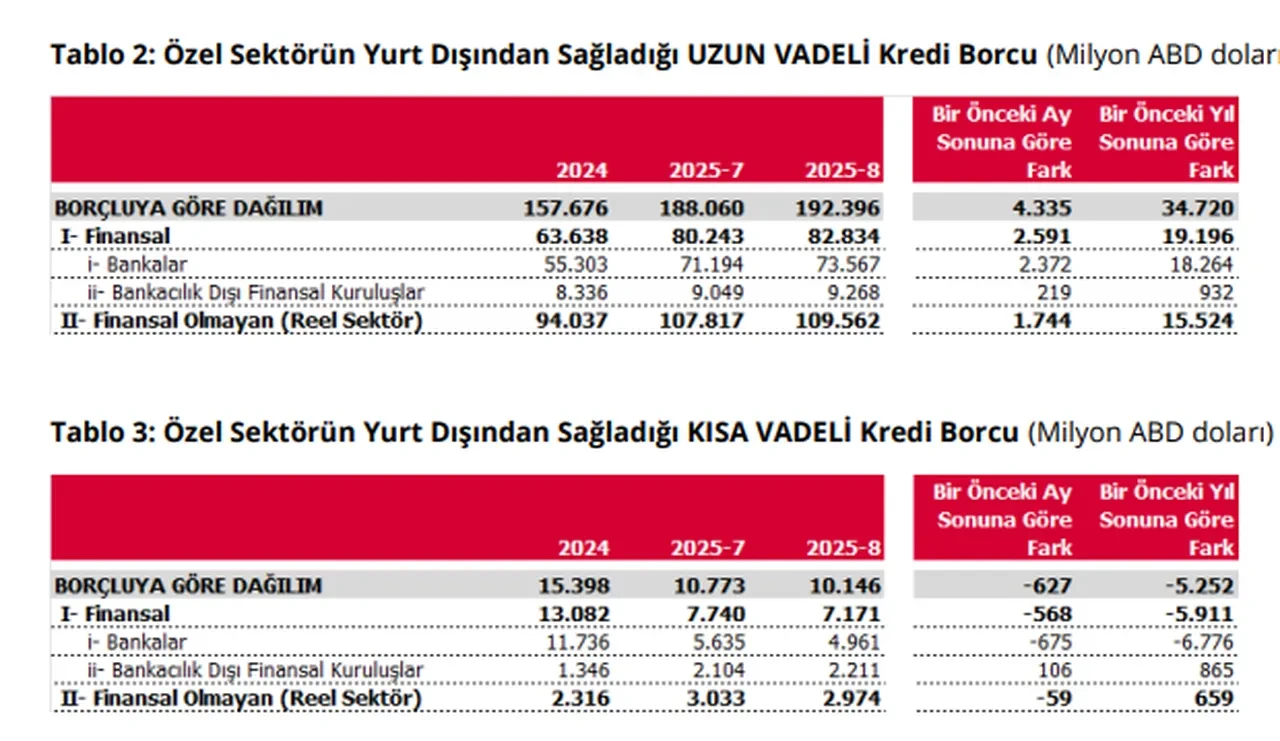 Merkez Bankası açıkladı: Özel sektörün dış borcu yükseldi