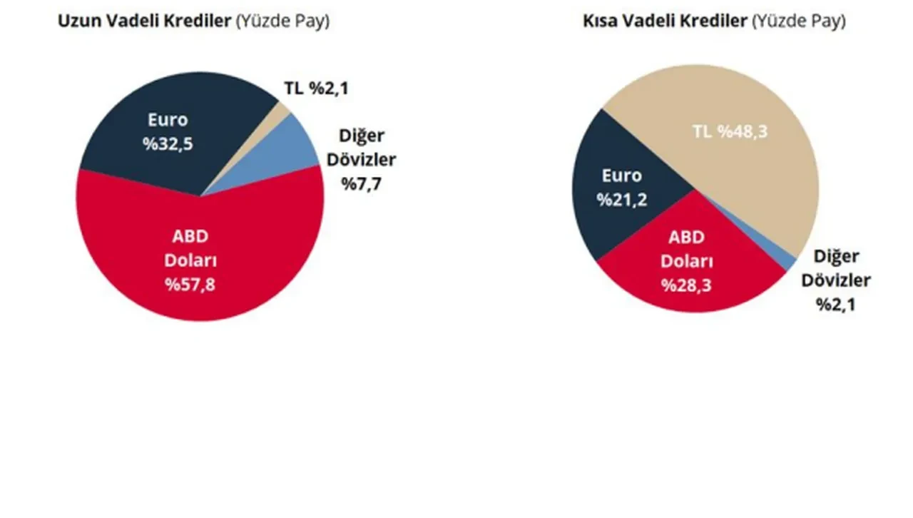 Merkez Bankası açıkladı: Özel sektörün dış borcu yükseldi