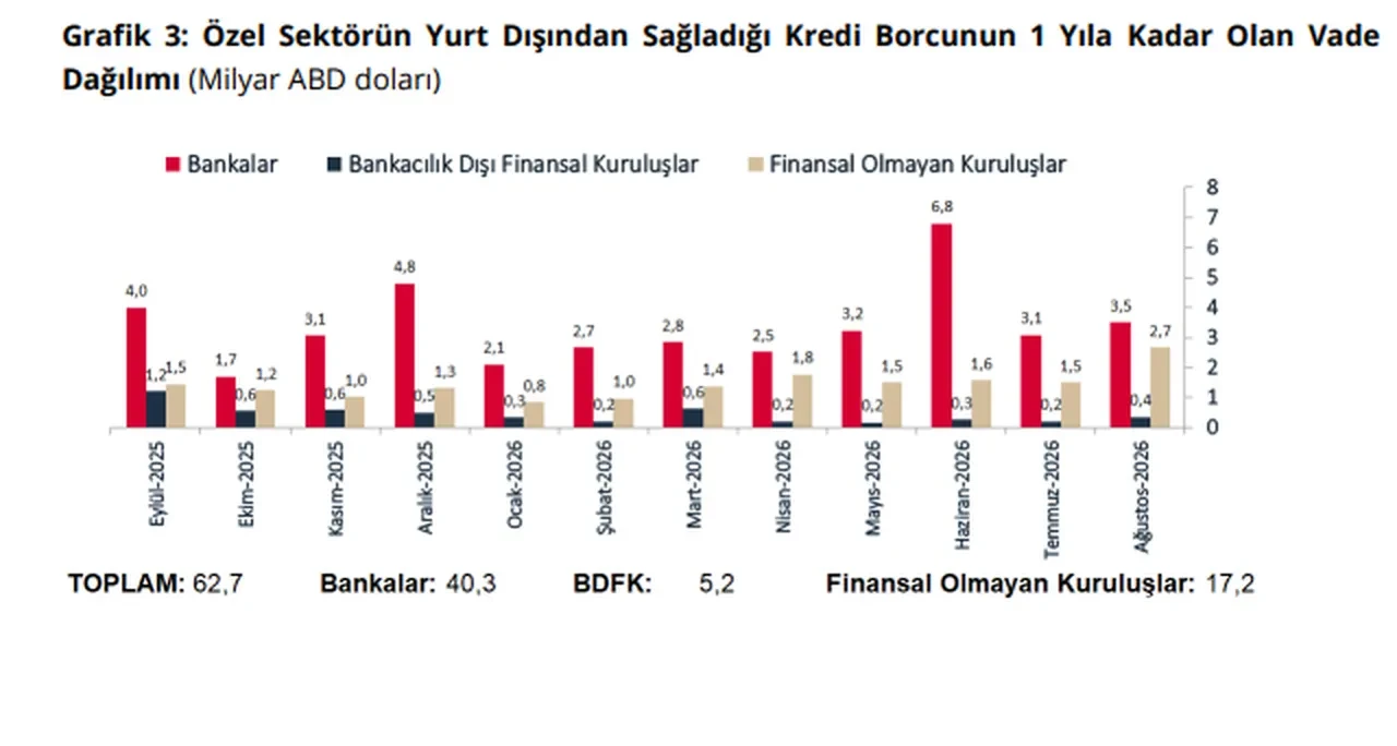 Merkez Bankası açıkladı: Özel sektörün dış borcu yükseldi