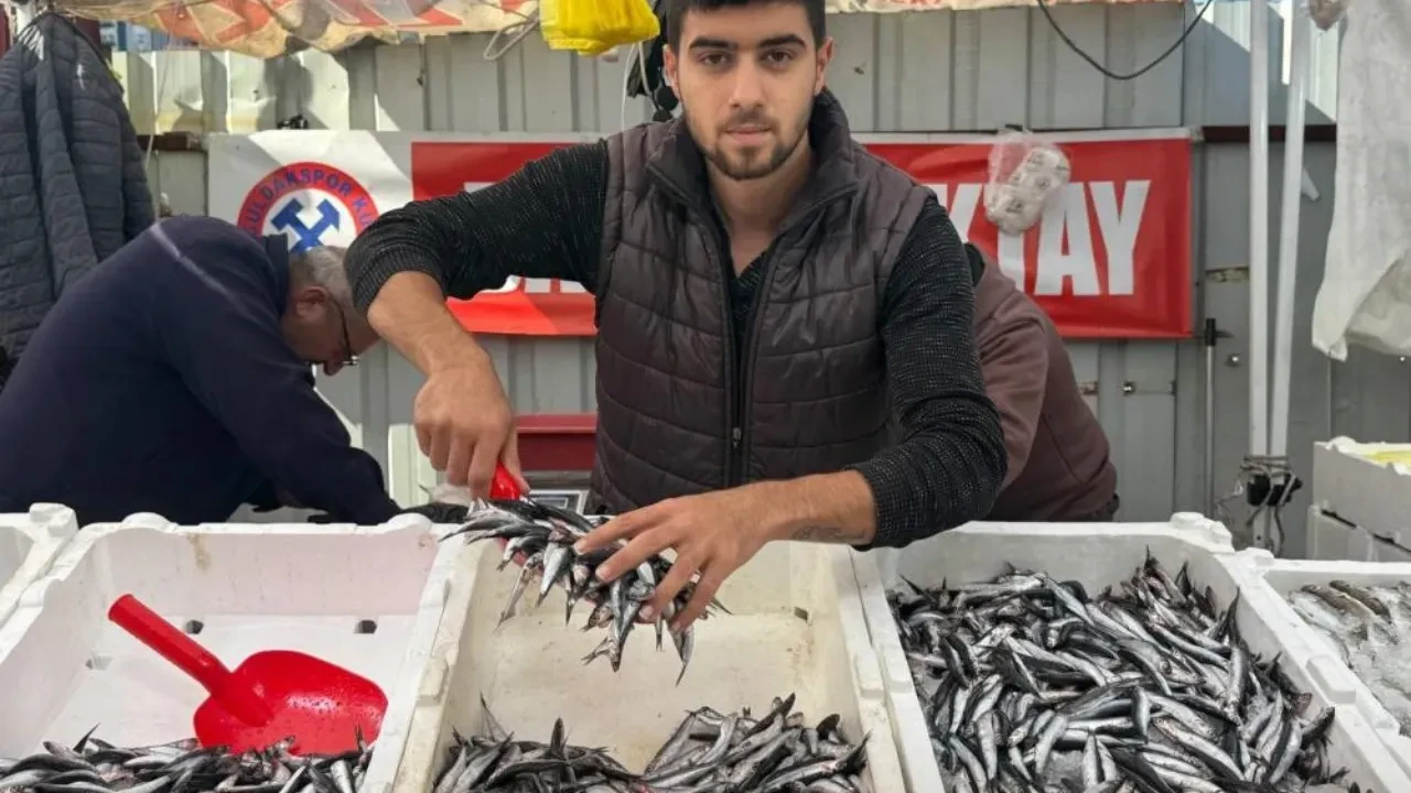 Tezgahta hamsi bolluğu: 'Bu fiyattan almak bedava!'