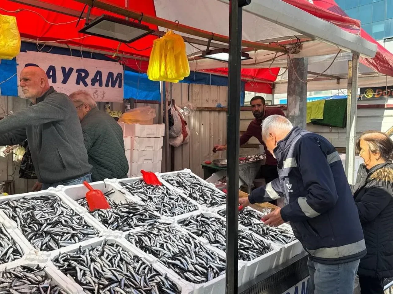 Tezgahta hamsi bolluğu: 'Bu fiyattan almak bedava!'