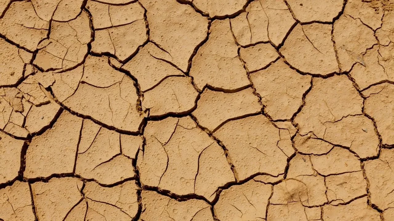 Türkiye'de neden yağışlar azaldı? Son 52 yılın en düşük seviyesi