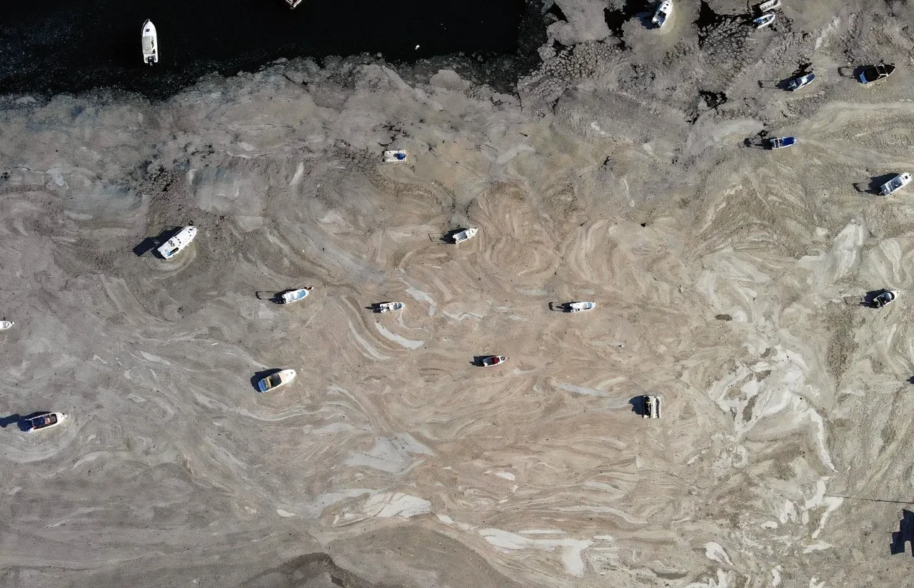 Balıkçılara müsilaj desteği! Mağduriyetlerin önüne geçilecek