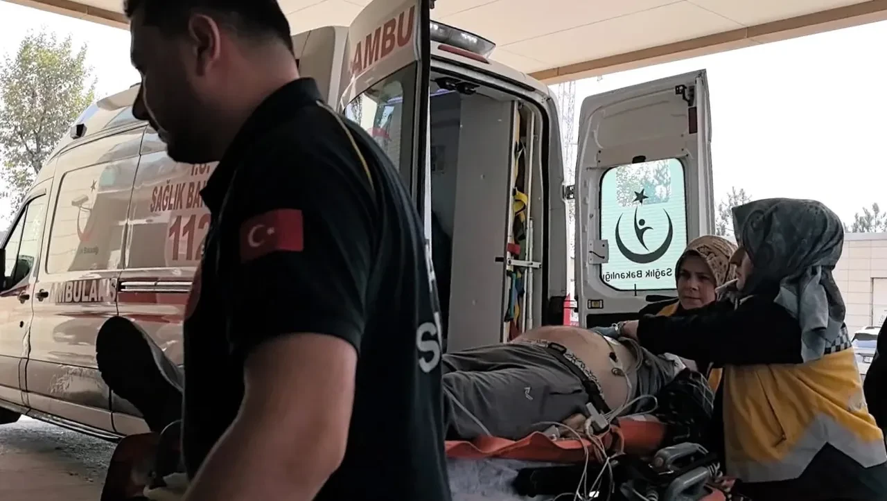 Ceviz toplamak için çıktığı ağaç sonu oldu!