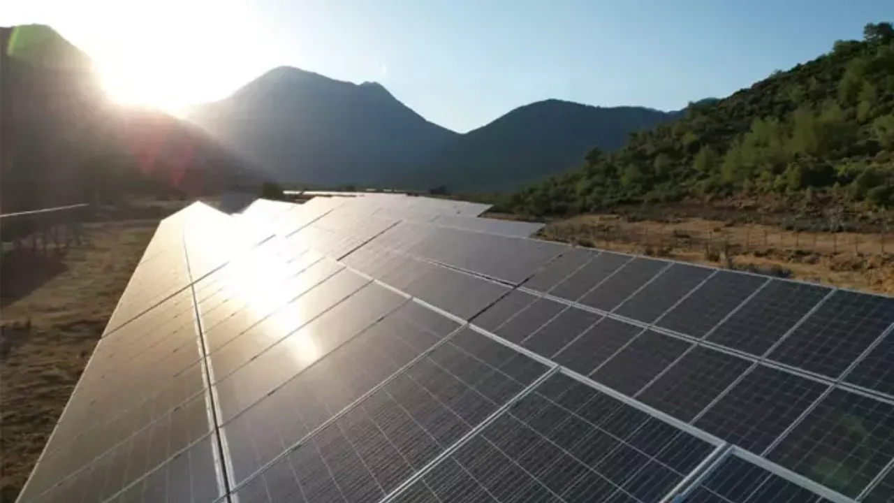 Ecogreen Enerji halka arz fiyatı ne kadar?