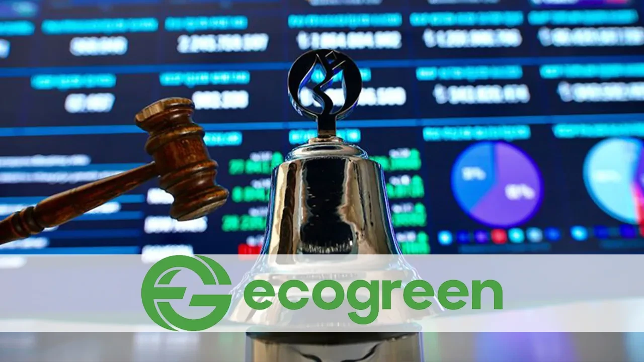 Ecogreen Enerji kimin, halka açıklık oranı kaç? Halka arz büyüklüğü belli oldu