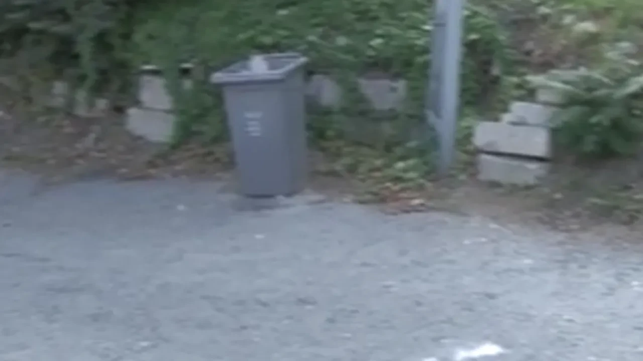 Eyüpsultan Mezarlığı'nda bomba ihbarı: Bölge trafiğe kapatıldı!