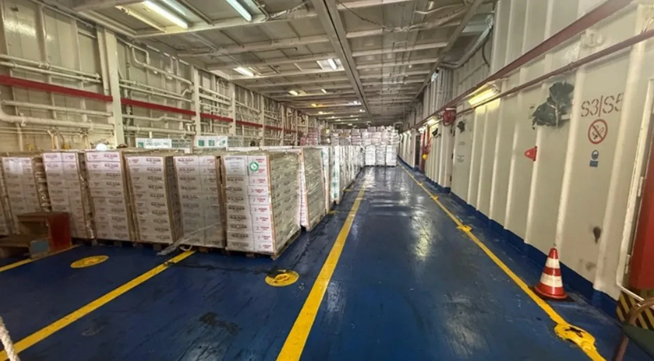 Gazze'ye umut taşıdı! İyilik Gemisi, El-Ariş Limanı'na ulaştı