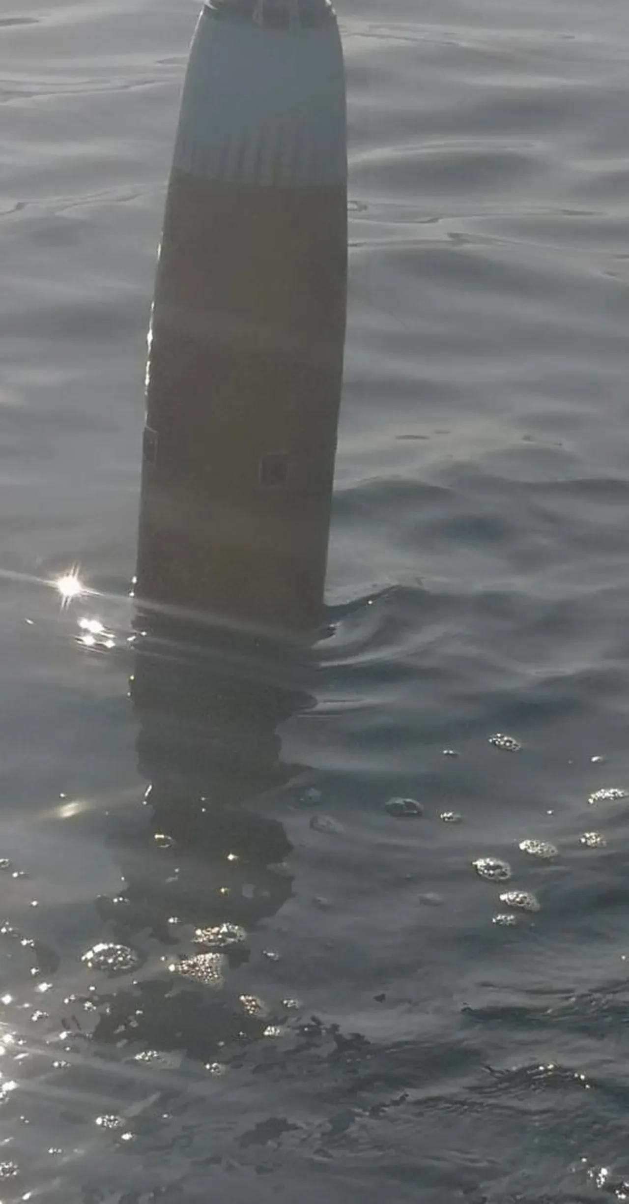 Karadeniz'de yine 'cisim' paniği! Salyangoz avında tedirgin eden olay 