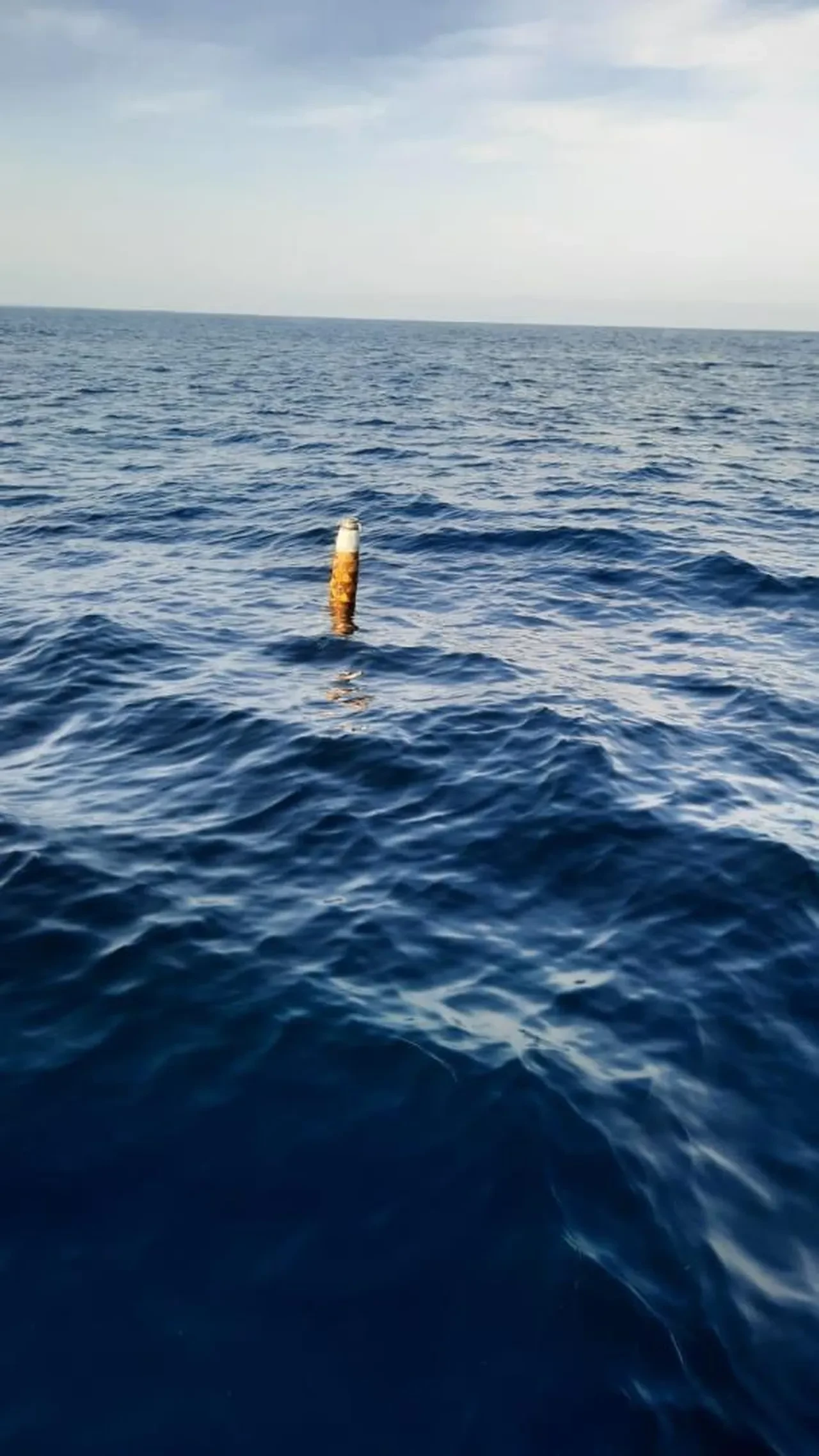 Karadeniz'de yine 'cisim' paniği! Salyangoz avında tedirgin eden olay 