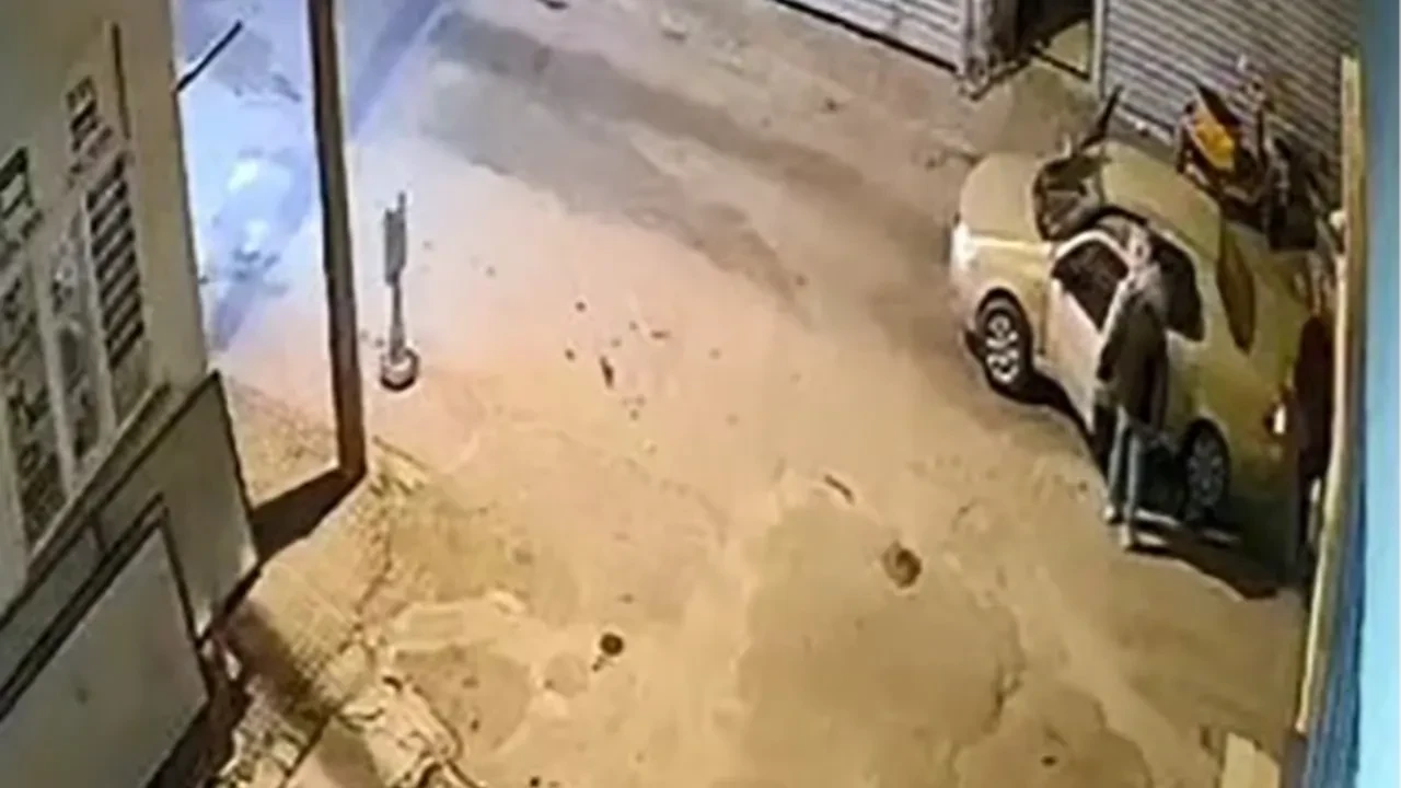 Koruma altındaydı! Günler önce görüntülenen oklu kirpiyi böyle ezdi