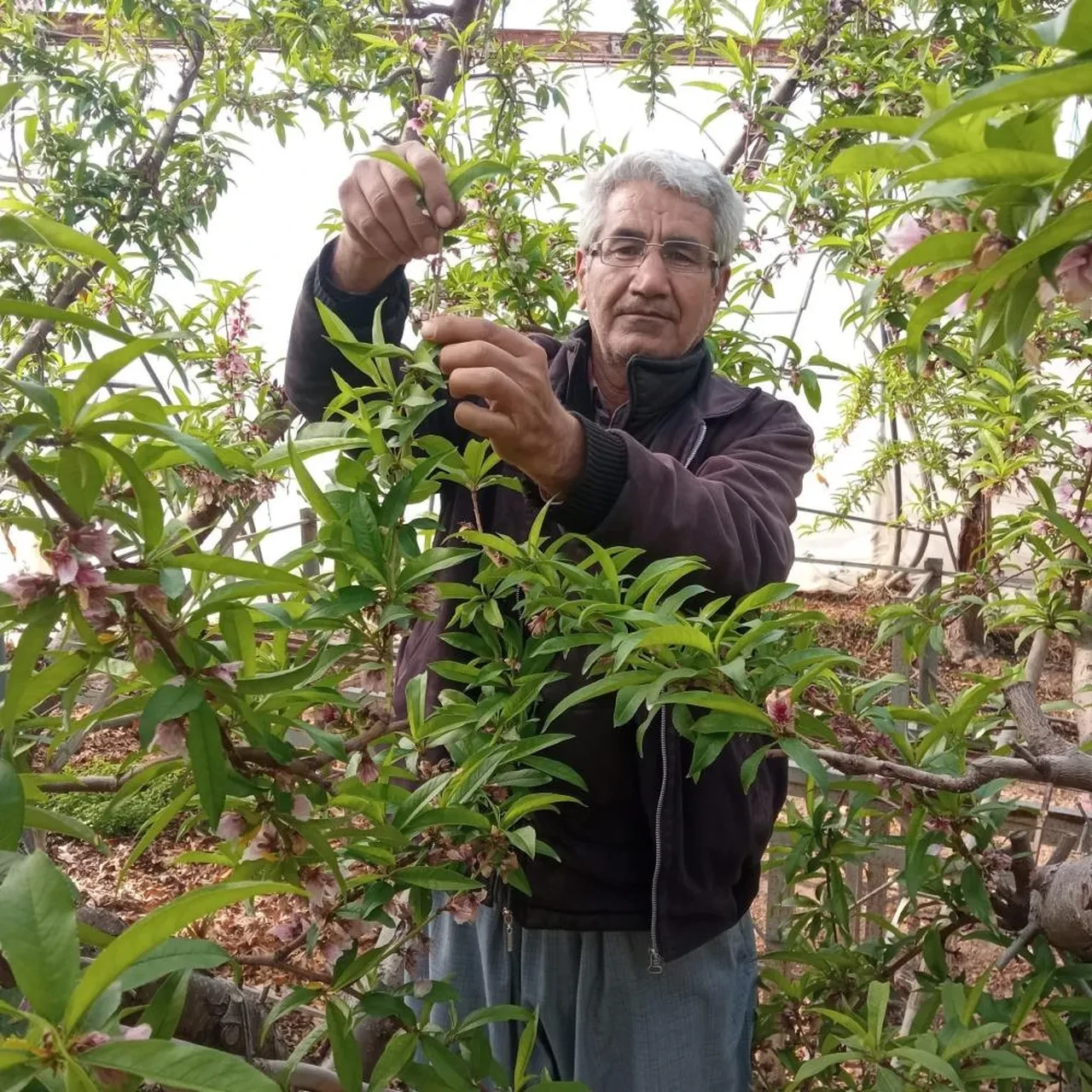 Mersin'de dehşete düşüren olay! Ekmek almaya giden çocuğu öldürüp intihar etti