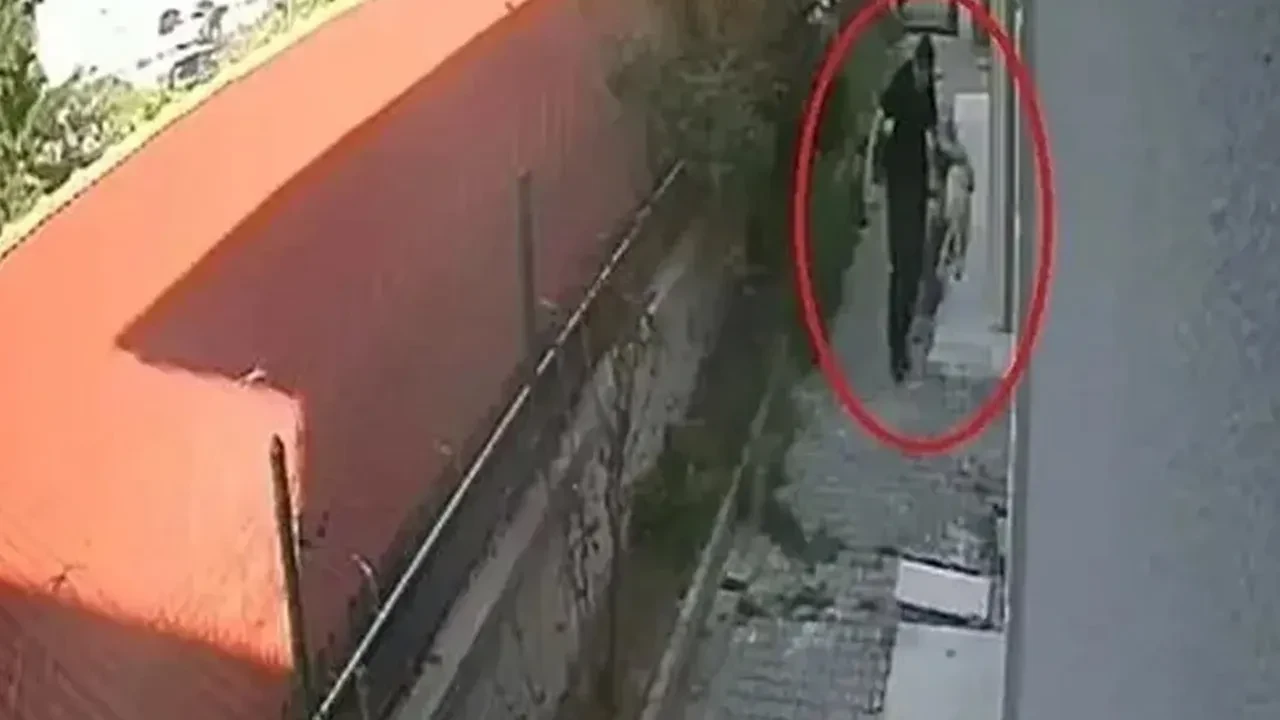Sahiplendiği köpekleri katleden doktor Muhammet Mustafa Duman'ın cezası belli oldu