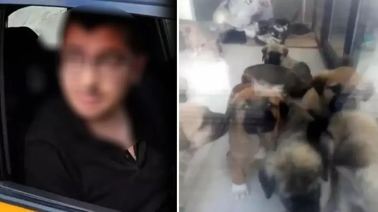Sahiplendiği köpekleri katleden doktor Muhammet Mustafa Duman'ın cezası belli oldu
