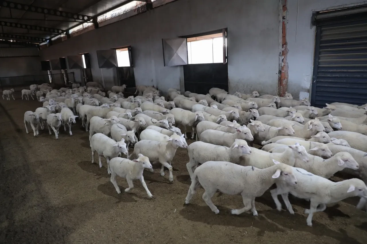 Aliağa, kırsal kalkınmada örnek olmaya devam ediyor