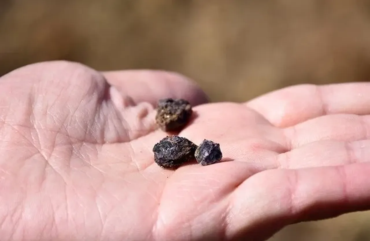 Bakan Bayraktar'dan projeyi engellemeye çalışan CHP'ye sert tepki! 'Bu nasıl ikiyüzlülük' 