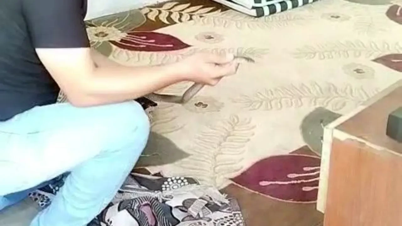 Yılancı Kemal yine şaşırtmadı! Tam 1 metre uzunluğundaydı! Elleriyle yakaladı