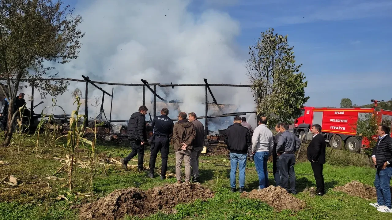 Yangında olan arılara oldu! Onlarca kovan küle döndü