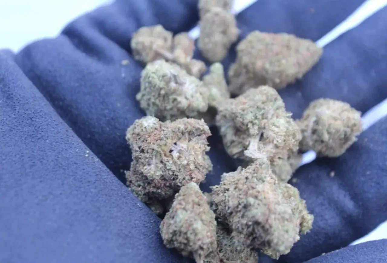 Zehir tacirlerine geçit yok! 809 milyon TL'lik narkotik operasyonu