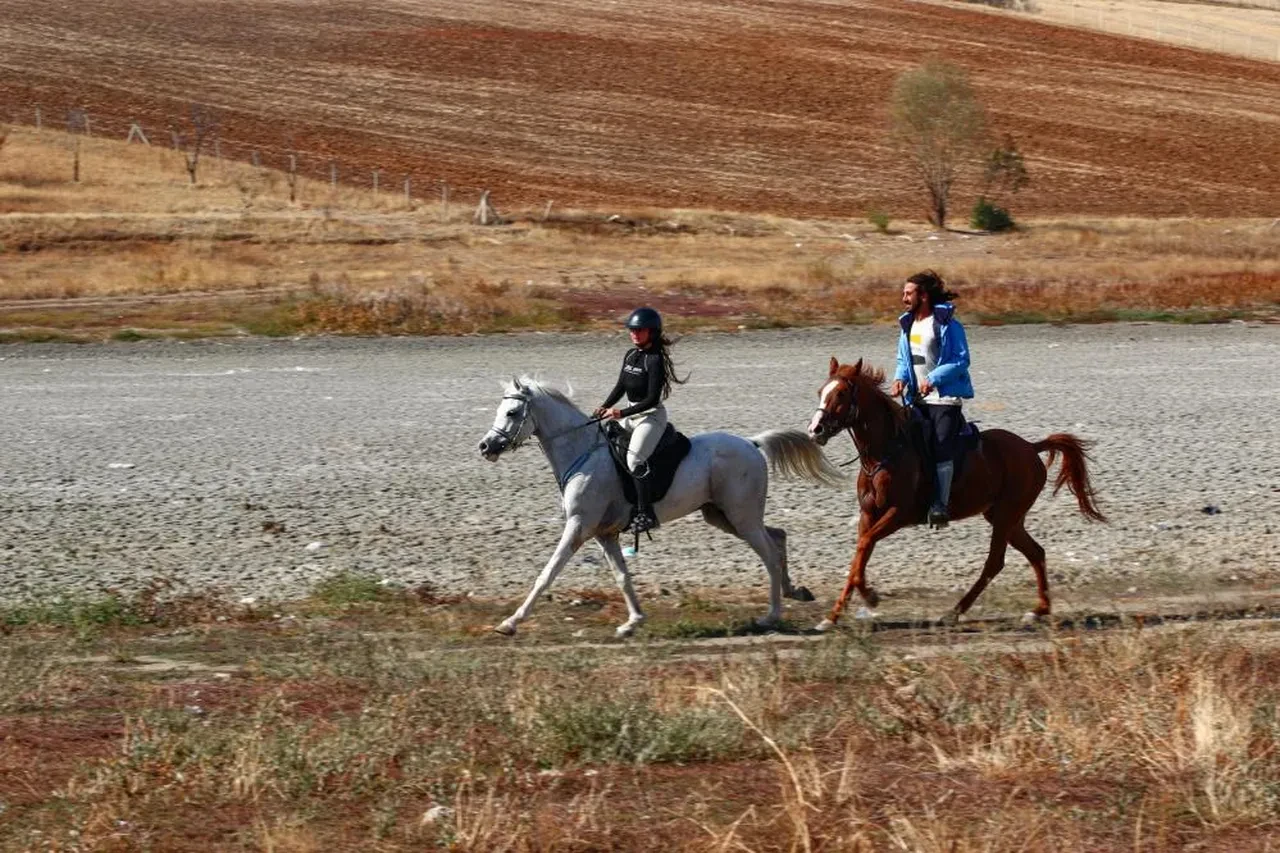 Geriye tabela ve balık ölüleri kaldı! Kızılca Göleti sadece 2 ayda kurudu!