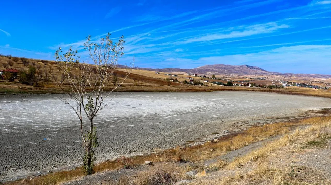 Geriye tabela ve balık ölüleri kaldı! Kızılca Göleti sadece 2 ayda kurudu!