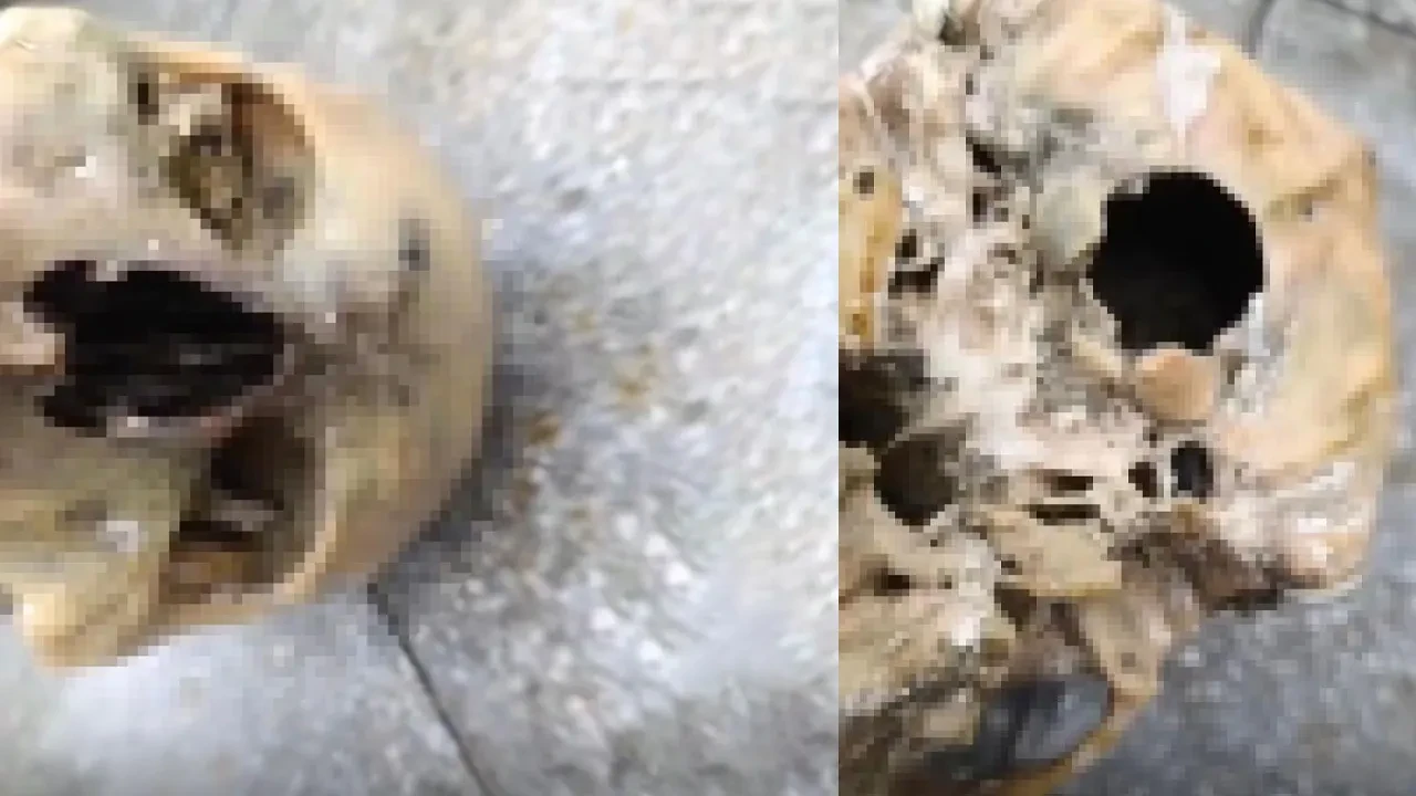 İzmir sahilinde korkunç olay: Oltaya balık değil insan kafatası takıldı