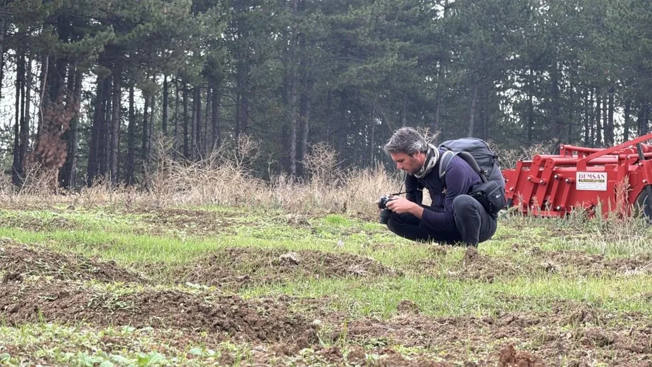 Safran hasadı başladı! Dünyanın en pahalı baharatının kilosu 600 bin lira oldu
