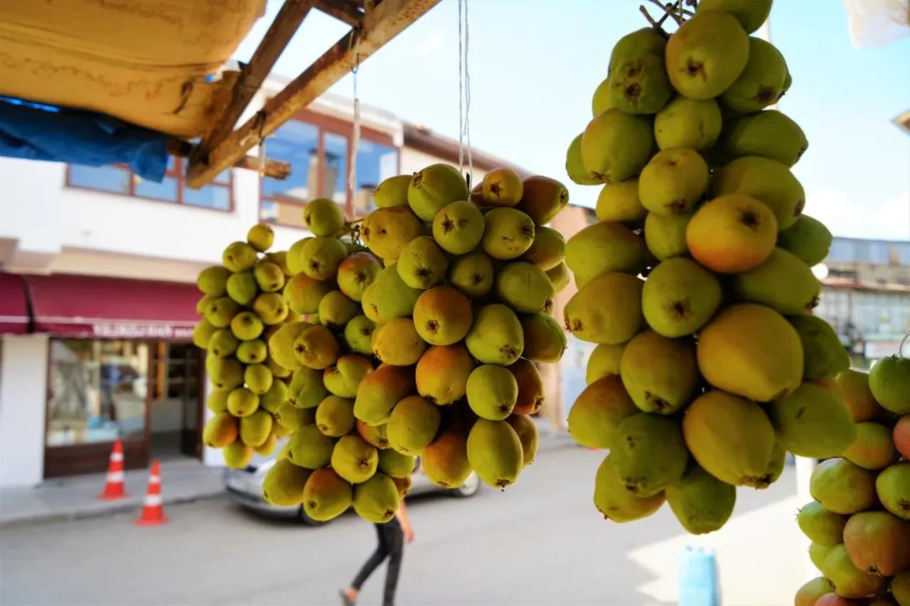 40 yıldır ipe güz armudu diziyor! 3 ay tazeliğini koruyor: Fiyatlar belli oldu!