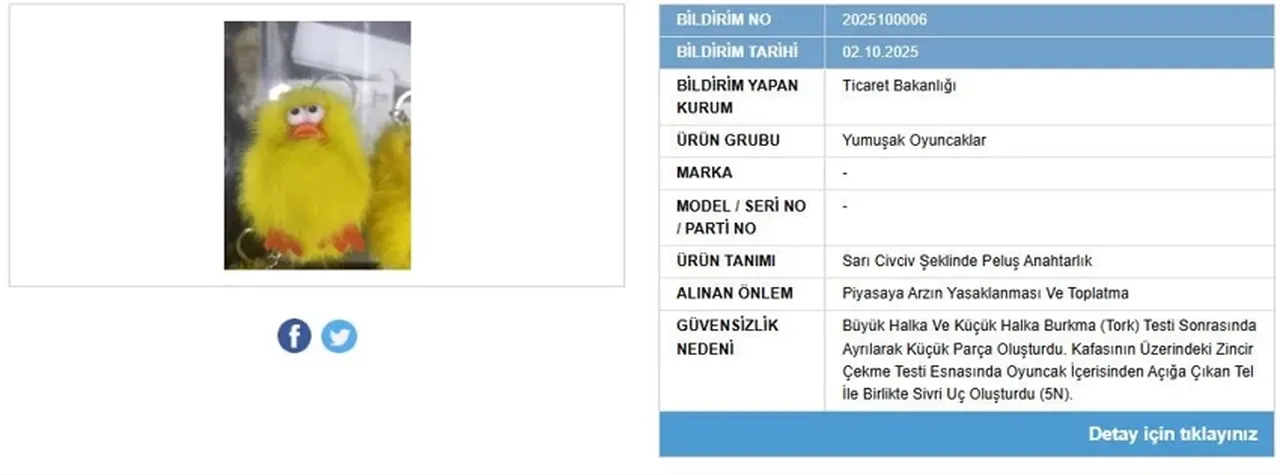 Bakanlık duyurdu: Boğulma tehlikesi nedeniyle piyasadan toplatıldı