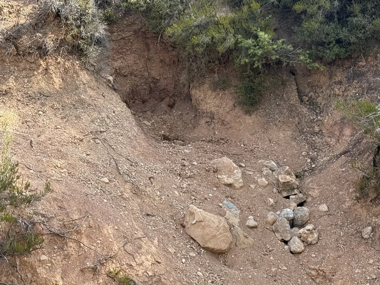 DEAŞ'lı aile servis şoförünü katletti! Ankara'da öldürüp, cesedi Mersin'e taşıdılar: İşte vahşetin yaşandığı yer
