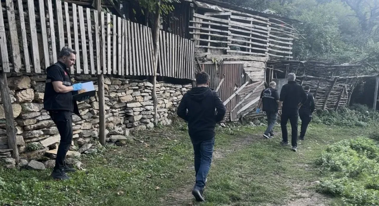 Hem suçlu hem güçlüler! Kestane toplamak için gittiler kan akıttılar!